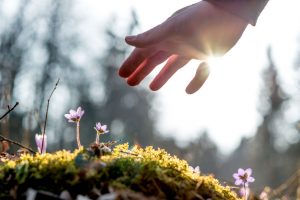 Wat is de betekenis van spirituele bewustwording