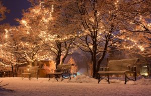Kerstlichtjes - Elektriciteit op hol
