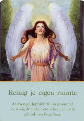 medium schoonmaak
