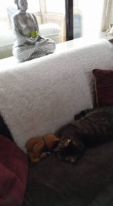 casper de kat