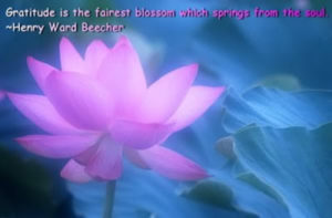 bloemen
