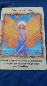 MANIFESTATIE