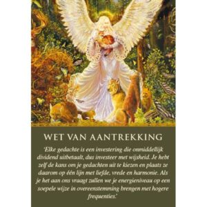 De wet van de aantrekkingskracht toepassen