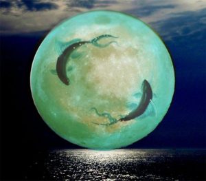 Volle maan in Vissen ( met Zon in Maagd)