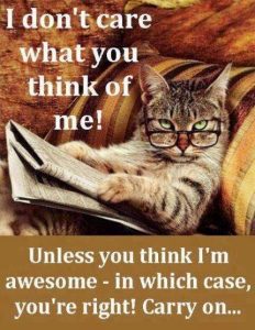 poes
