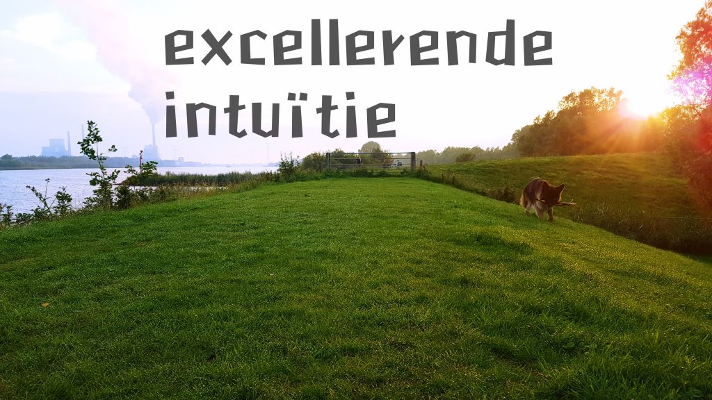 Excellerende intuitie