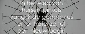 Het Universum wijst je altijd de weg