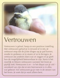 Vertrouwen