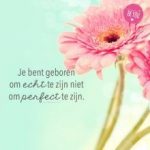 dagboodschap mieke