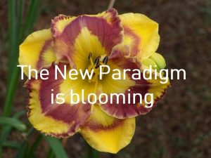 Leven vanuit het nieuwe paradigma