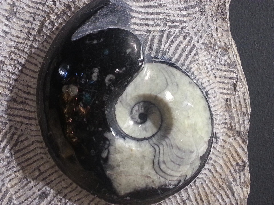 Yin en Yang