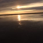 Avina