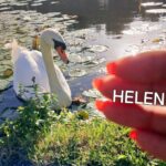 Medium Helen