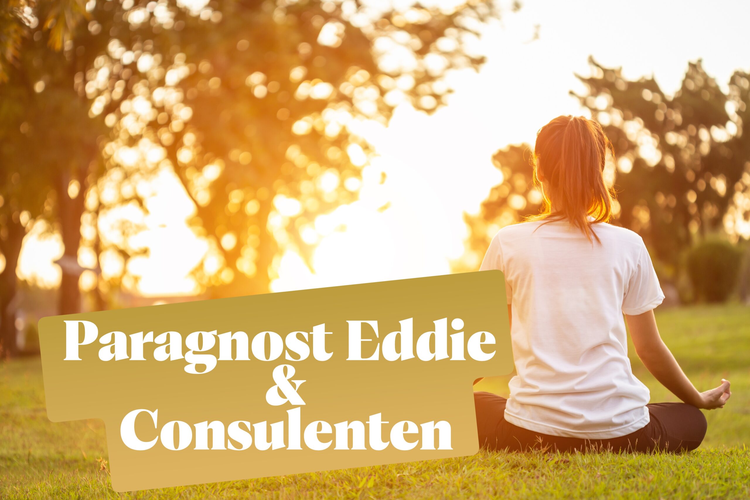 Paragnost Eddie en Consulenten